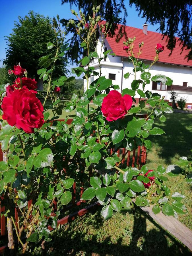 Holiday Home Nada I Milan Lovinac  Bagian luar foto